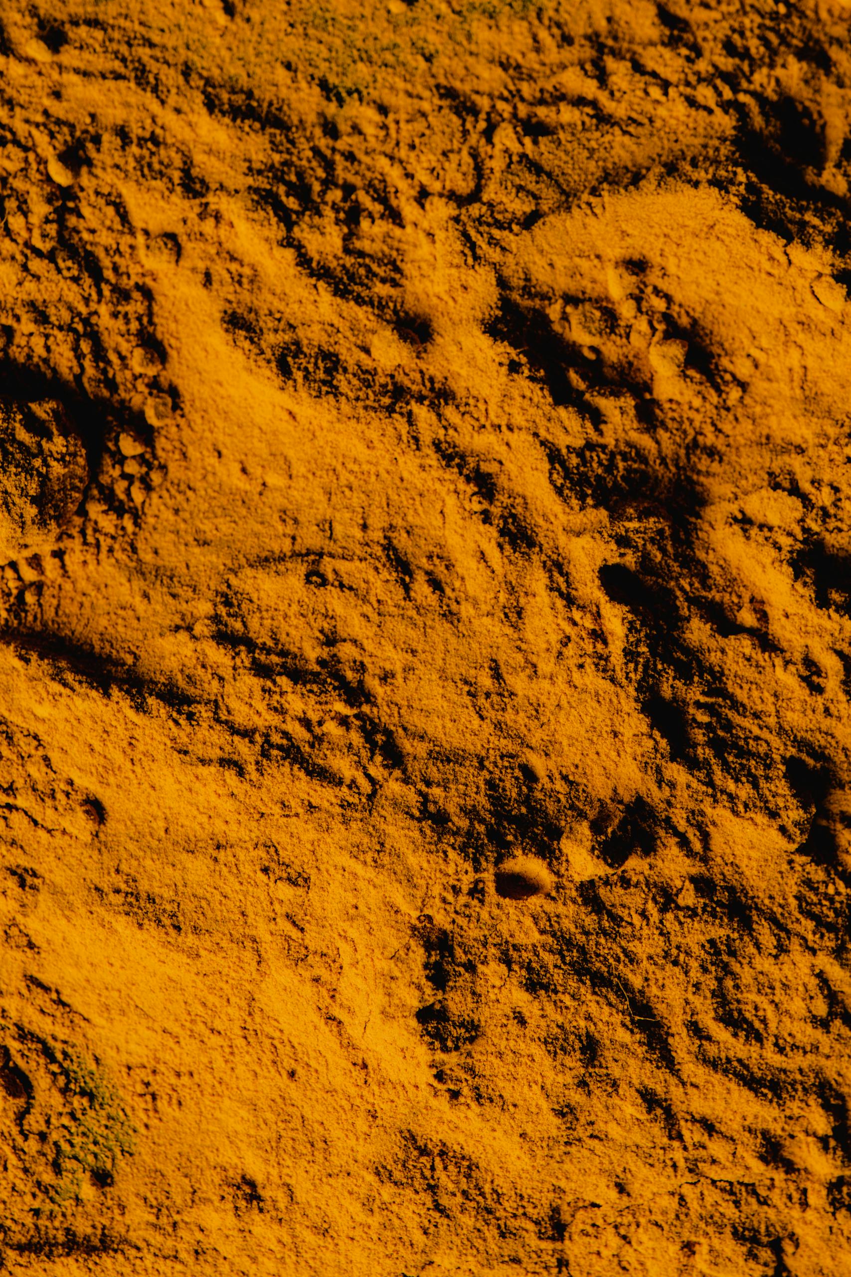 Turmeric 2 A detailed close-up of vibrant yellow turmeric powder showing its textured surface.