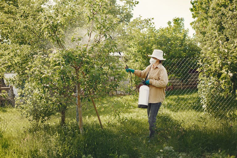 Pesticides: How do they affect health? 7 Woman in protective gear spraying pesticides on garden trees with a spray bottle.